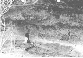 Buzzard Cave