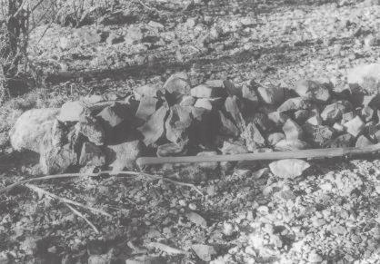 Indian Hot Springs Site No. 41HZ438